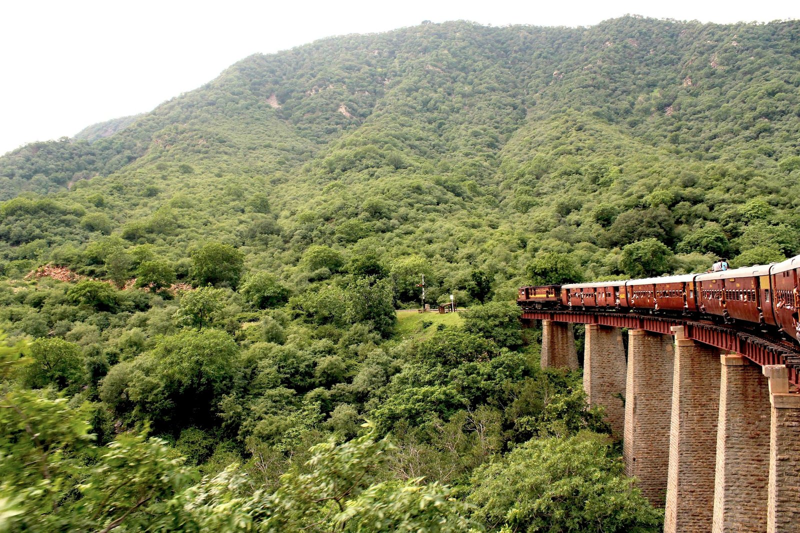 Rajasthan travel tRAIN