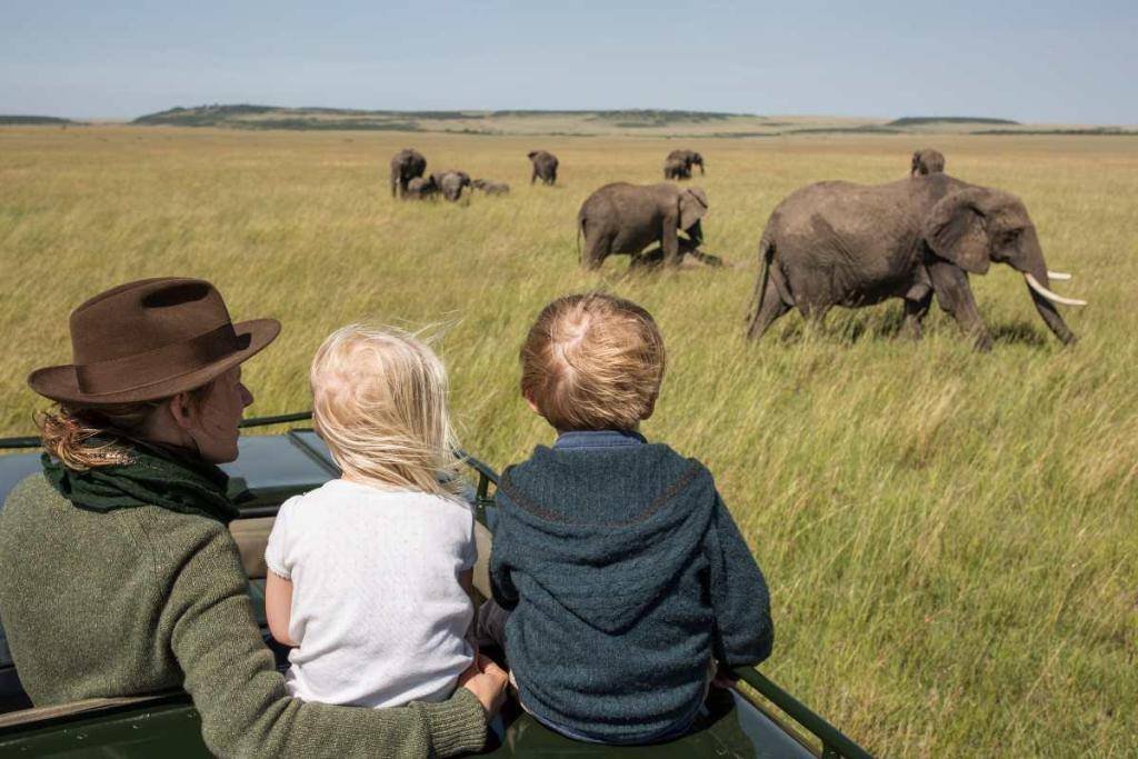 Serengeti Safari Guide