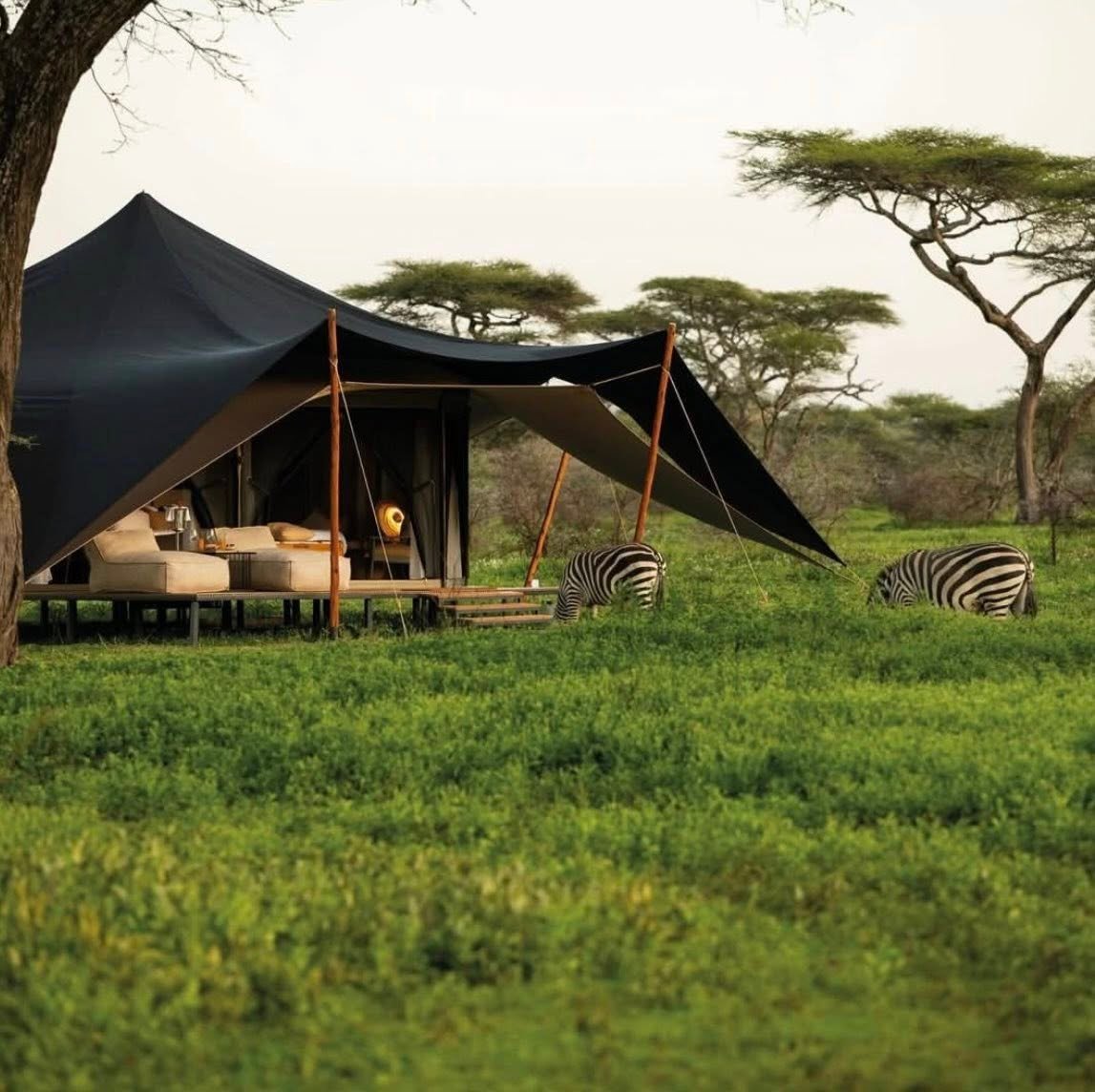 Serengeti Safari Guide