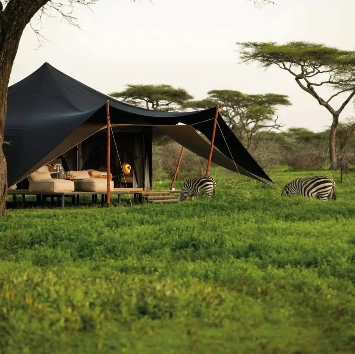 Serengeti Safari Guide
