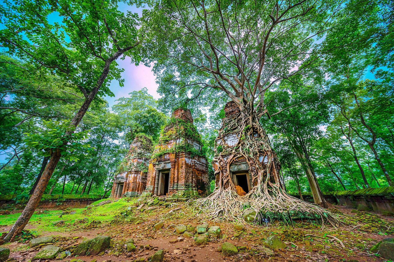 koh ker tree temple