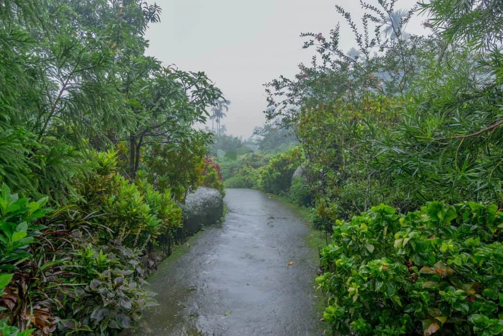 mawlynnong-morning-with-rain