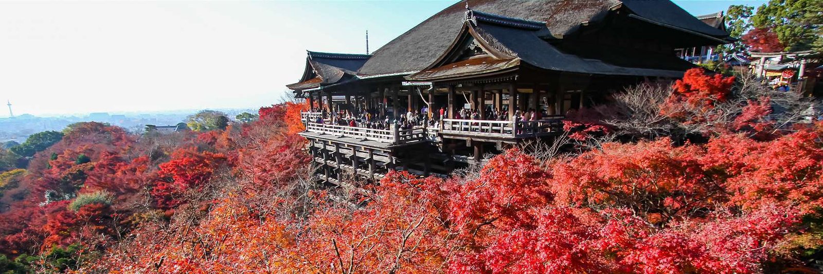 Kyoto Travel Guide